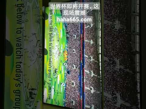 中国速滑队,波兰世界杯,男子短距离,pa真人娱乐官网,pa真人视讯平台,pa真人电子游戏,pa真人体育电竞,pa真人棋牌彩票,PlayAce