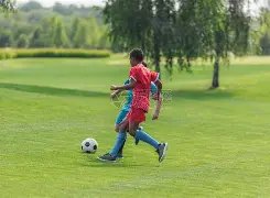 切尔西欲以,万欧元收购,黄潜前锋蒂,pa真人娱乐官网,pa真人视讯平台,pa真人电子游戏,pa真人体育电竞,pa真人棋牌彩票,PlayAce